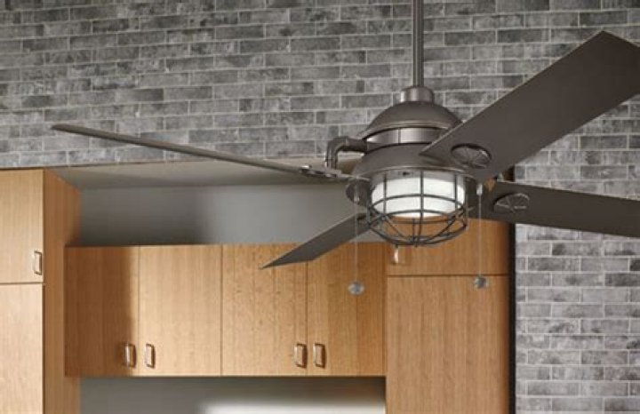 The Power of Fans: Understanding Their Impact and Influence