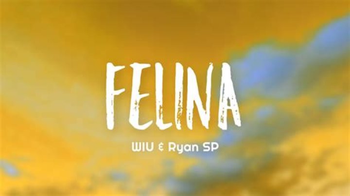 Felina WIU Lyrics English: An In-Depth Exploration
