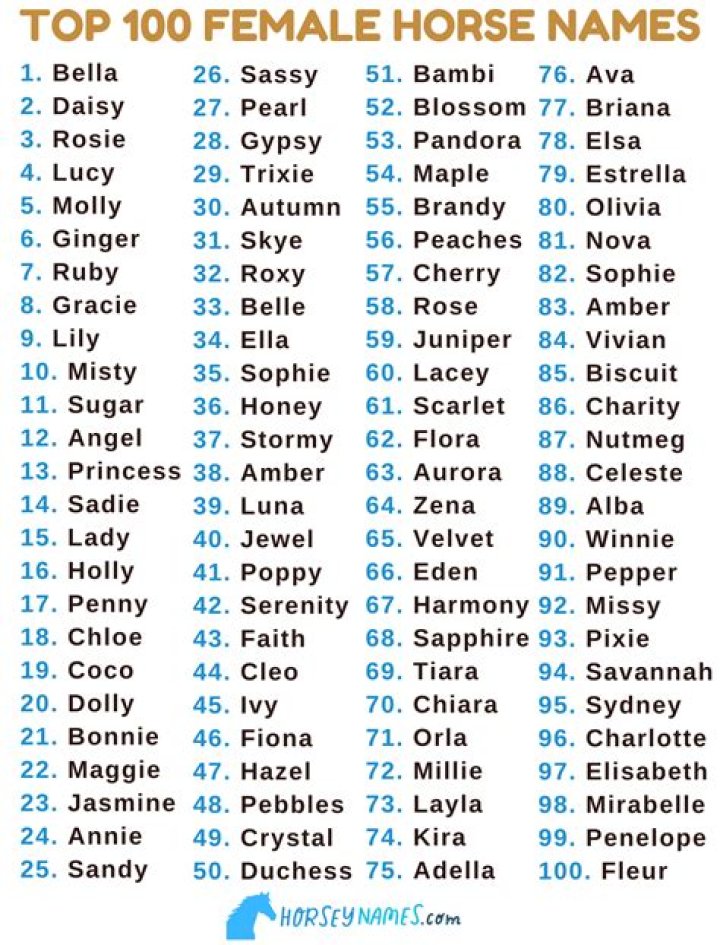Unique and Charming Female Horse Names: A Comprehensive Guide