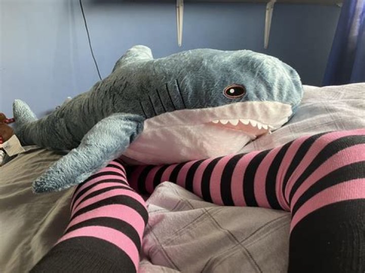 Femboy Humping Pillow: Understanding the Trend and Its Implications