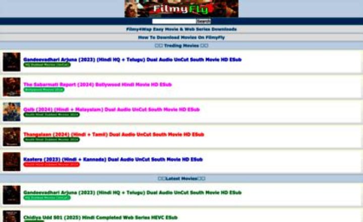 Exploring filmyfly.in: A Comprehensive Guide to the Platform
