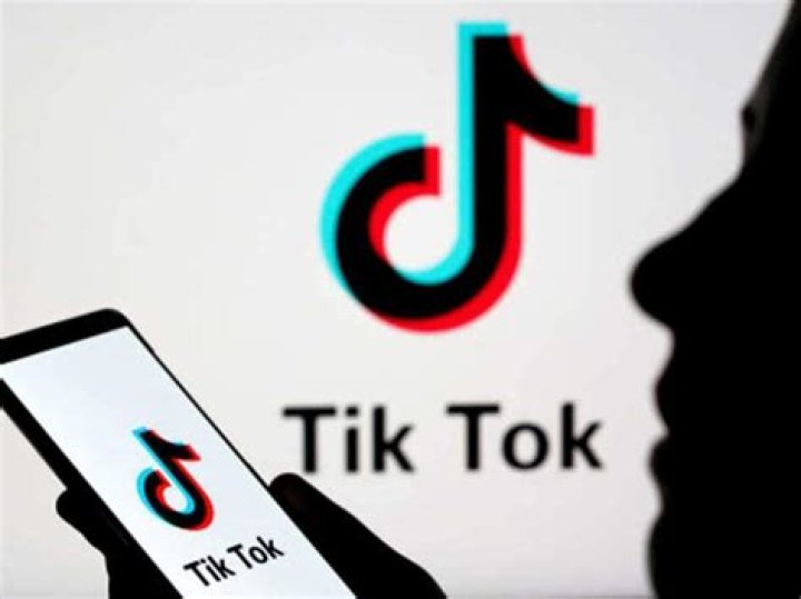 Unveiling the World of Finfluencers on TikTok