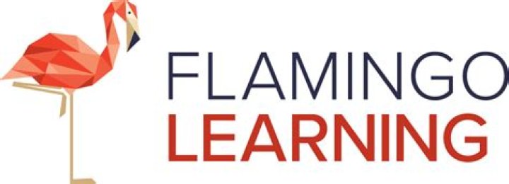 Flamingo Learning: Unleashing the Power of Innovative Education
