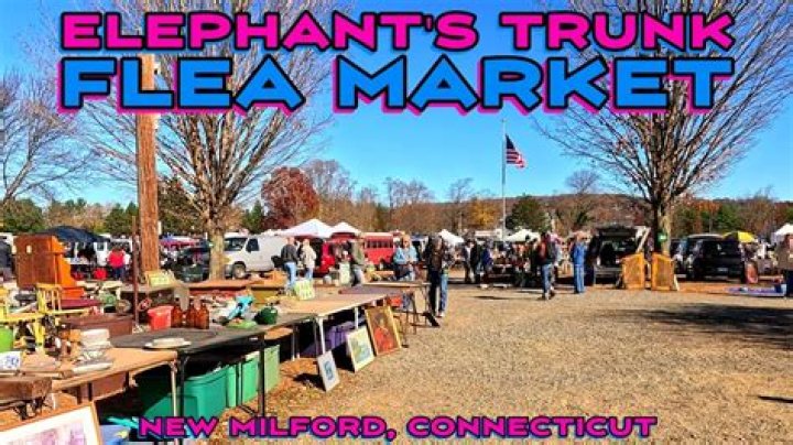 Exploring the Flea Market: Elephant's Trunk in Connecticut