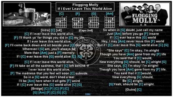 **Flogging Molly: If I Ever Leave This World Alive – A Celebration of Life and Legacy**