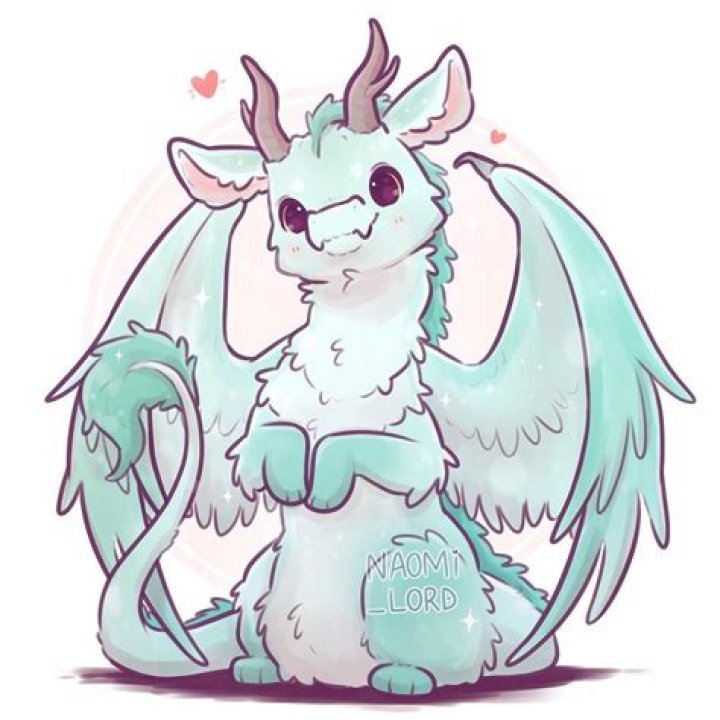 Embracing the Enchantment of the Fluffy Dragon