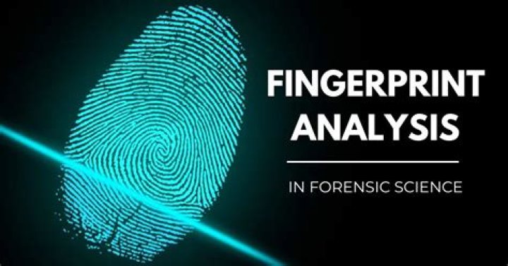 Force Girls Fingerprint: Unveiling the Intricacies of Biometric Technology in Modern Security