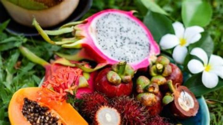 Plant-Powered Vegan Paradise: Island Adventures in the Philippines