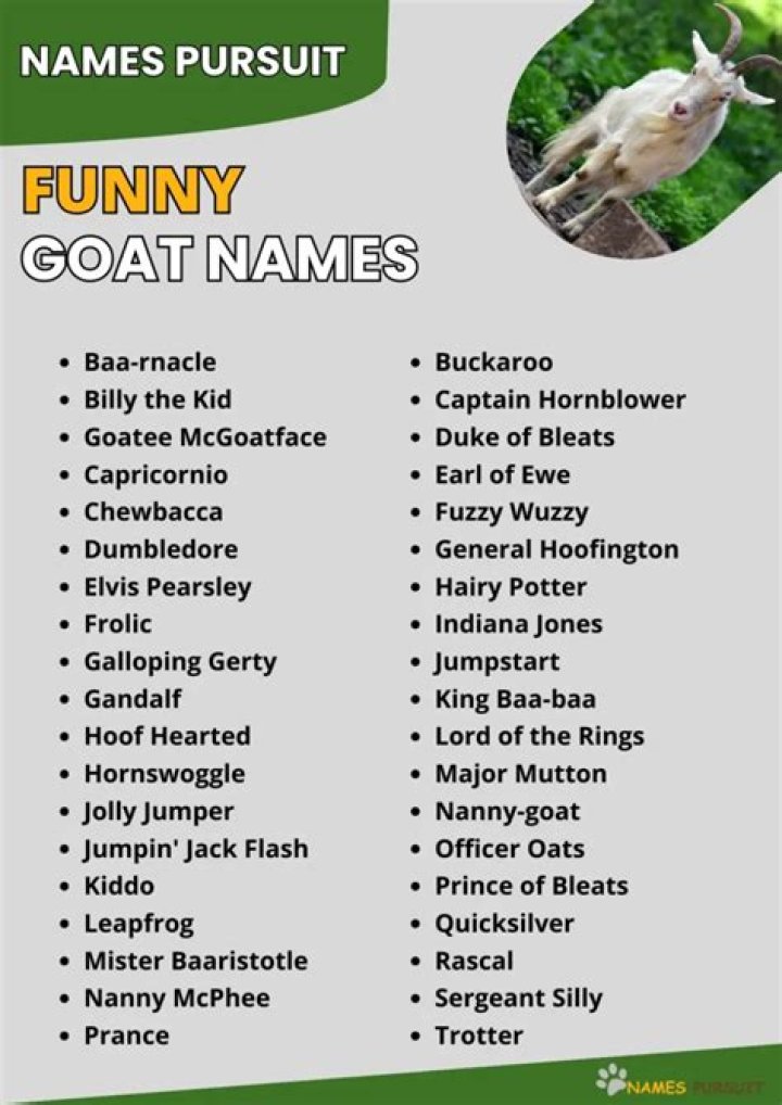 Funny Goat Names: A Guide to Choosing the Perfect Name for Your Goats