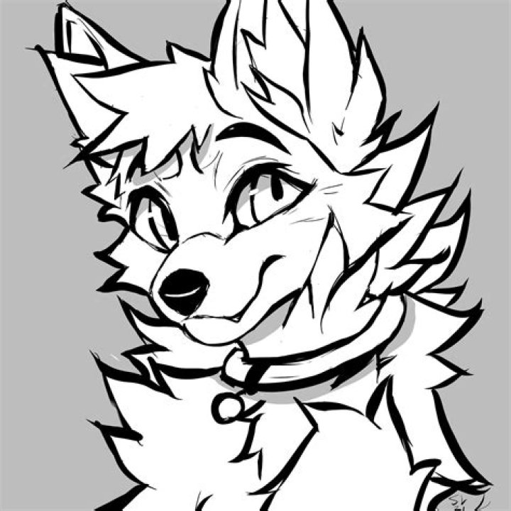 Furry Drawing: A Comprehensive Guide to Creating Adorable Furry Characters