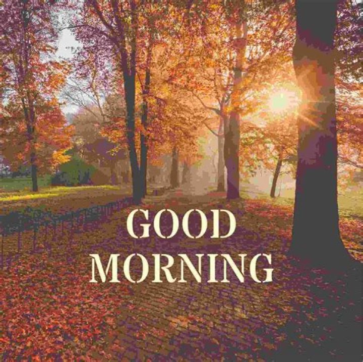 Good Morning: Embracing the Power of a Positive Start