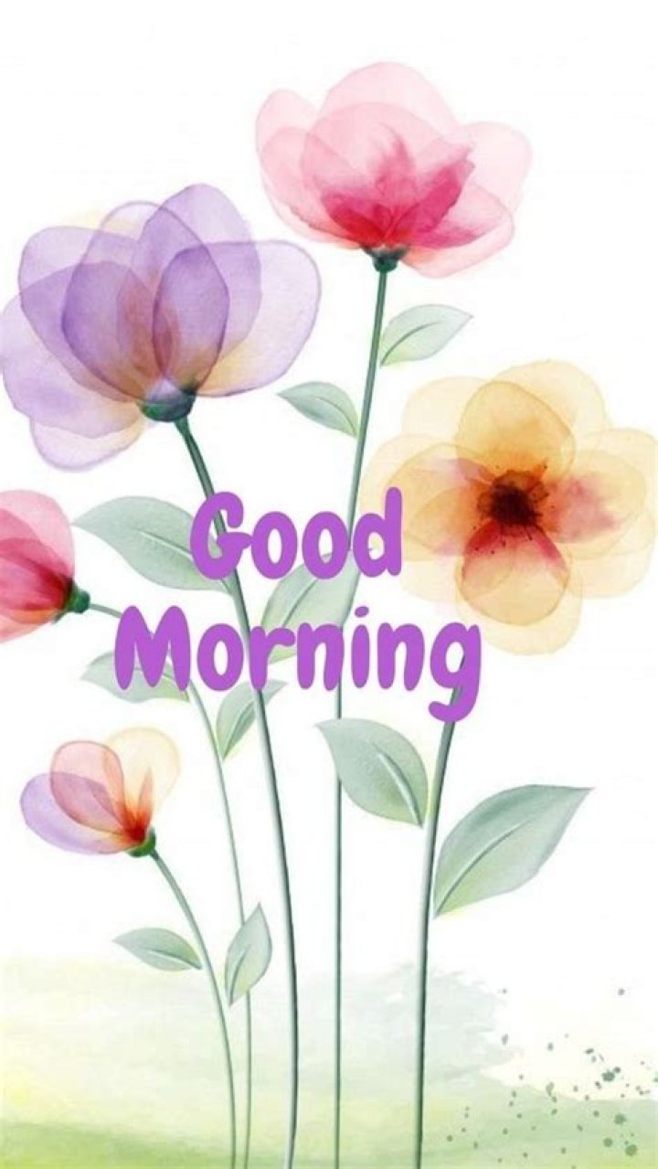 Good Morning Etymology: Unraveling the Origins of a Common Greeting