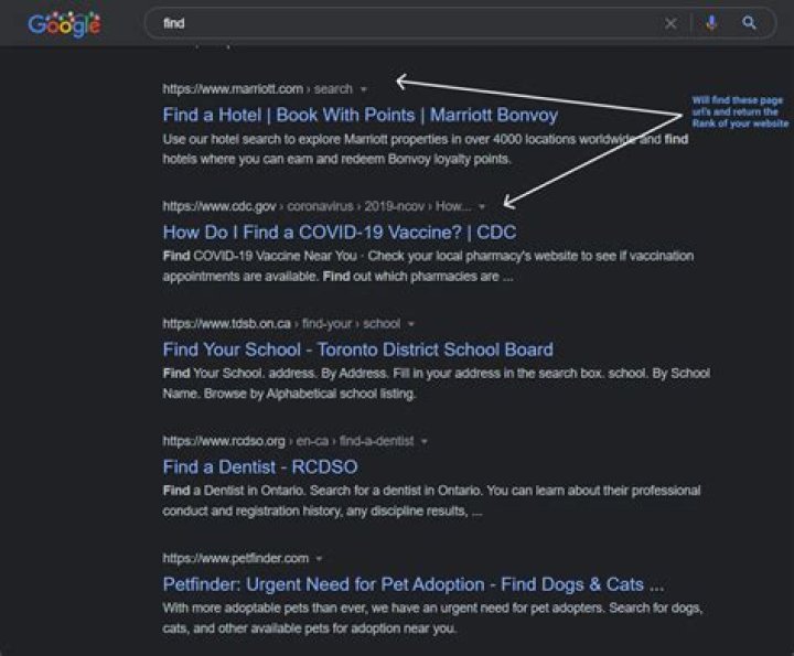 Unlocking the Secrets of Google Rank Finder: How to Elevate Your Website's Visibility