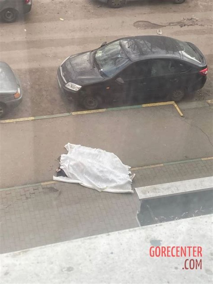 Exploring the Fascination of Gorecenter 4 Girl