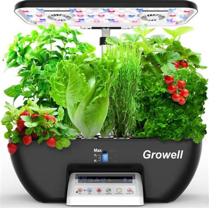 The Ultimate Guide to Growing Your Own Pot at Home with the Best Kits Available