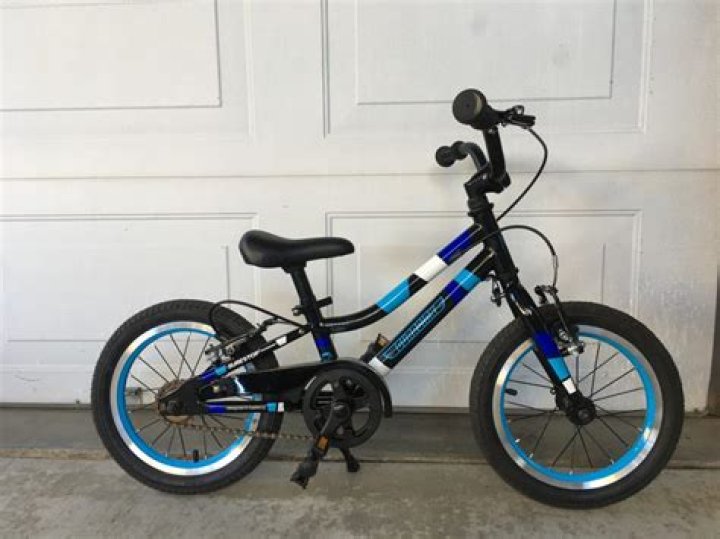 The Revolutionary Guardian Bike: Safety and Innovation Redefined