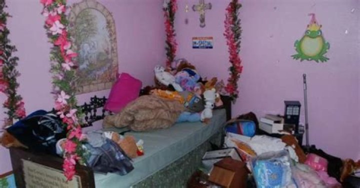 Gypsy Rose Mom Crime Scene Leaked: An In-Depth Analysis