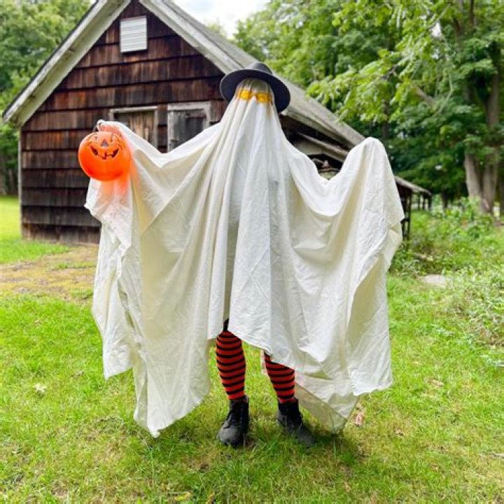 DIY Halloween Costumes: Creative Ideas for Spooktacular Celebrations