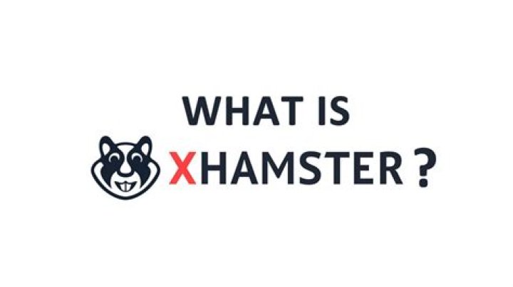 Hamsters X: A Comprehensive Guide to Understanding the Ultimate Rodent Experience