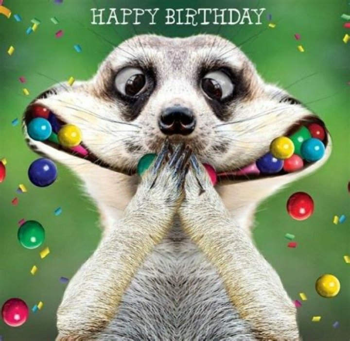 Witty Wishes: Celebrating Happy Birthday Funny Moments