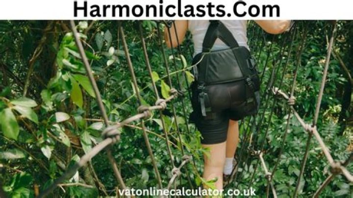 Exploring the Unique World of Harmoniclasts.com