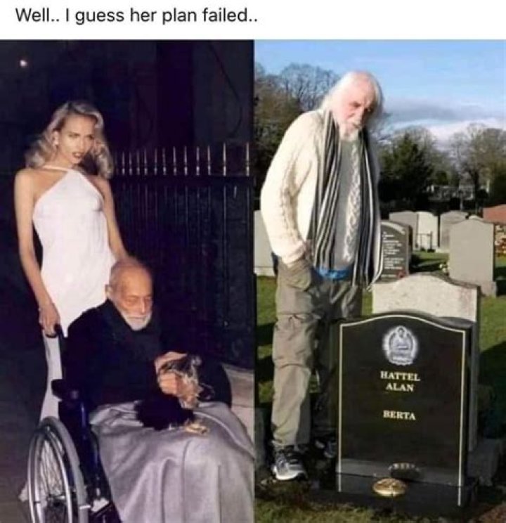 All You Need to Know About Hattel Alan: Biography, Career, and Achievements