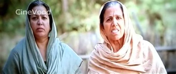 HDHub4U Punjabi Movies: Your Ultimate Guide to Stream and Download High-Quality Films