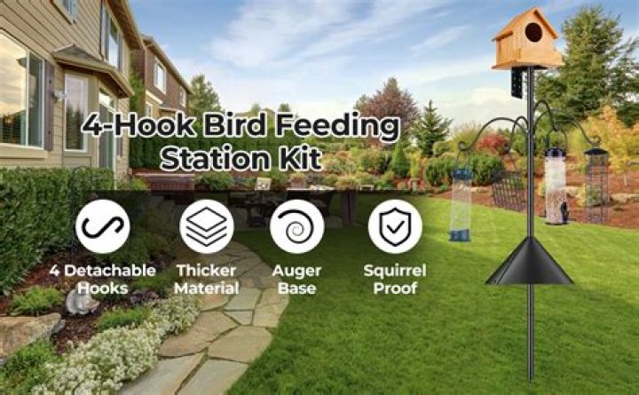 Heavy Duty Bird Feeder Pole: A Comprehensive Guide for Bird Enthusiasts