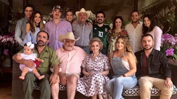 Vicente Fernandez Jr.'s Children: Meet the Famous Family