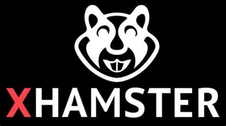 Hmester X: The Ultimate Guide to Understanding His Rise, Impact, and Legacy