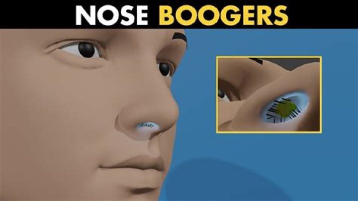 Booger Brown: Earnings Per Episode and More