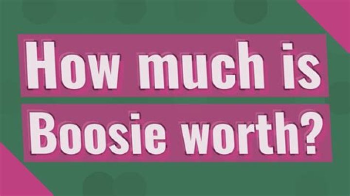 Estimating Lil Boosie's Net Worth: The Financial Portfolio of a Rap Icon