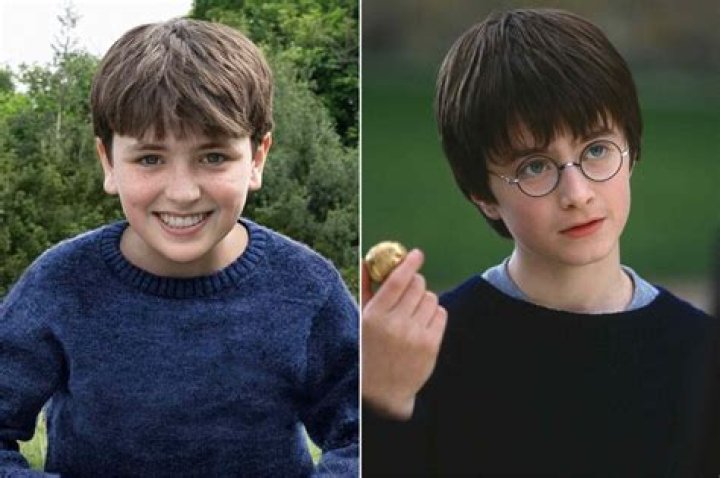How Old is Harry from Perfect Match? Discovering the Age and Life of a Reality Star