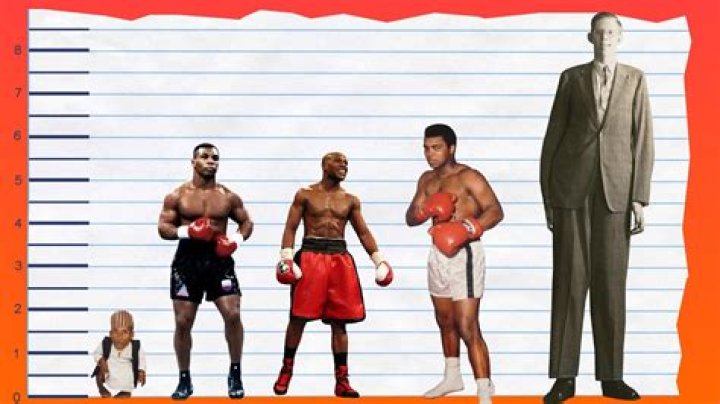 How Tall is Mike Tyson? A Comprehensive Look at the Life and Career of the Boxing Legend