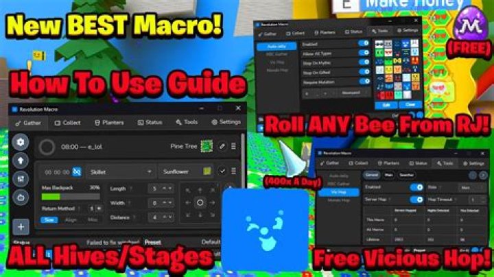 Unlocking Potential: How to Boost Using a Macro BSS