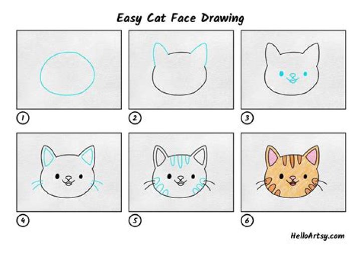 How to Draw a Simple Cat: A Step-by-Step Guide for Beginners