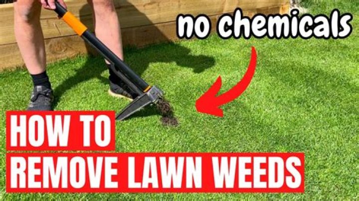 How to Remove Grass: Effective Techniques for a Lush Landscape
