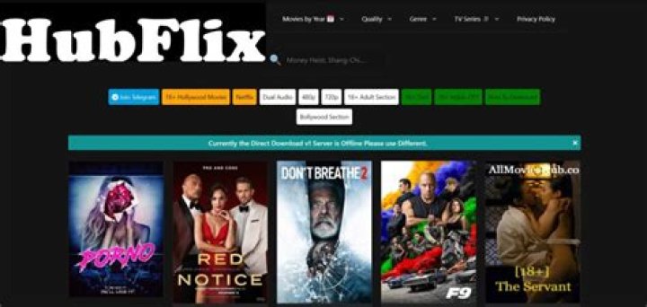Exploring the World of Hubflix In: Your Ultimate Movie Destination