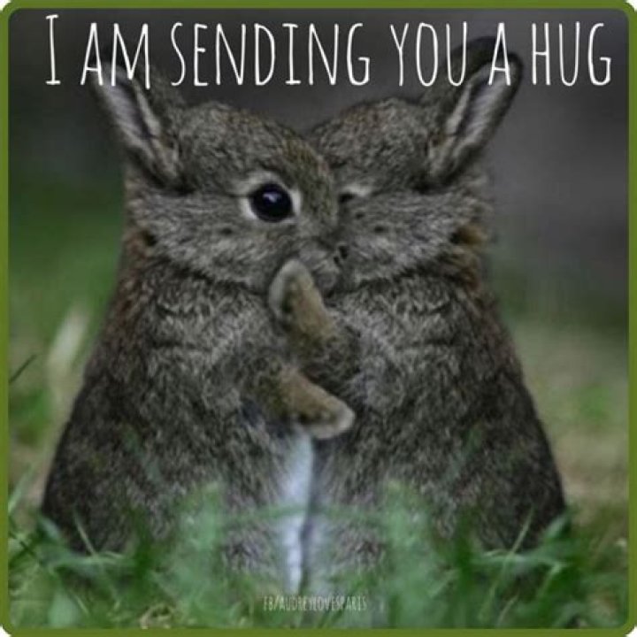 The Ultimate Guide: Embrace the Power of Hug Memes