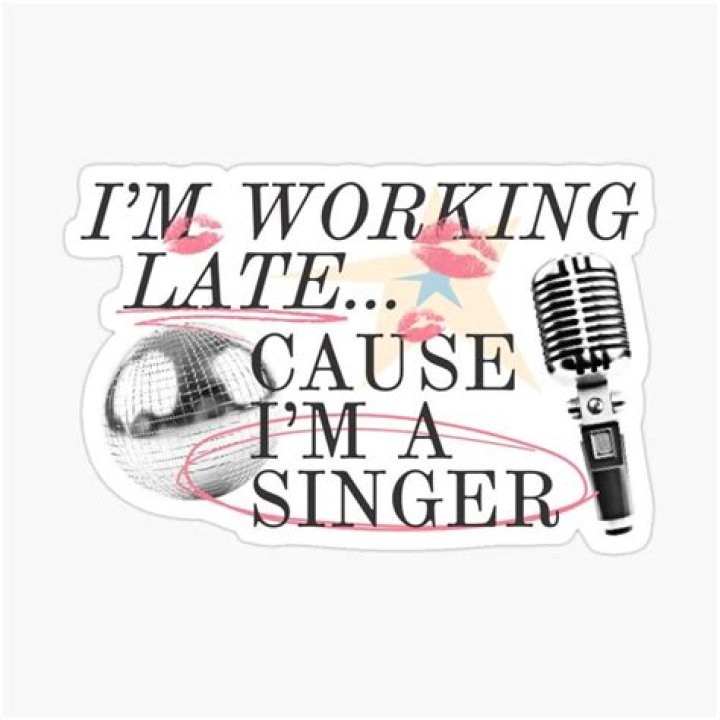 I'm Working Late Because I'm a Singer: The Life Behind the Music