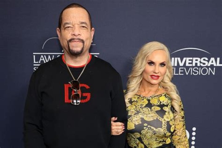 How Much Does Ice-T Earn Per Episode? A Deep Dive into His Earnings