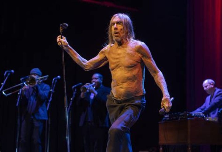 Iggy Pop 2024: The Rock Legend's Journey Continues
