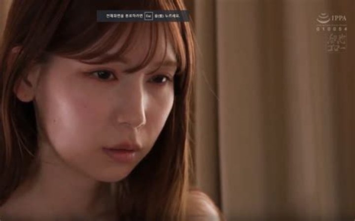 Unveiling the Excellence of IPPA 010054 Premium: A Comprehensive Guide