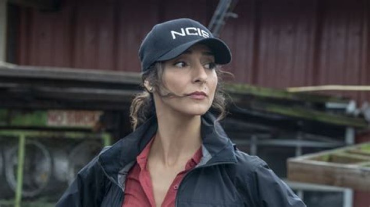 Is Necar Zadegan Married? Unveiling the Truth Behind the Actress's Relationship Status