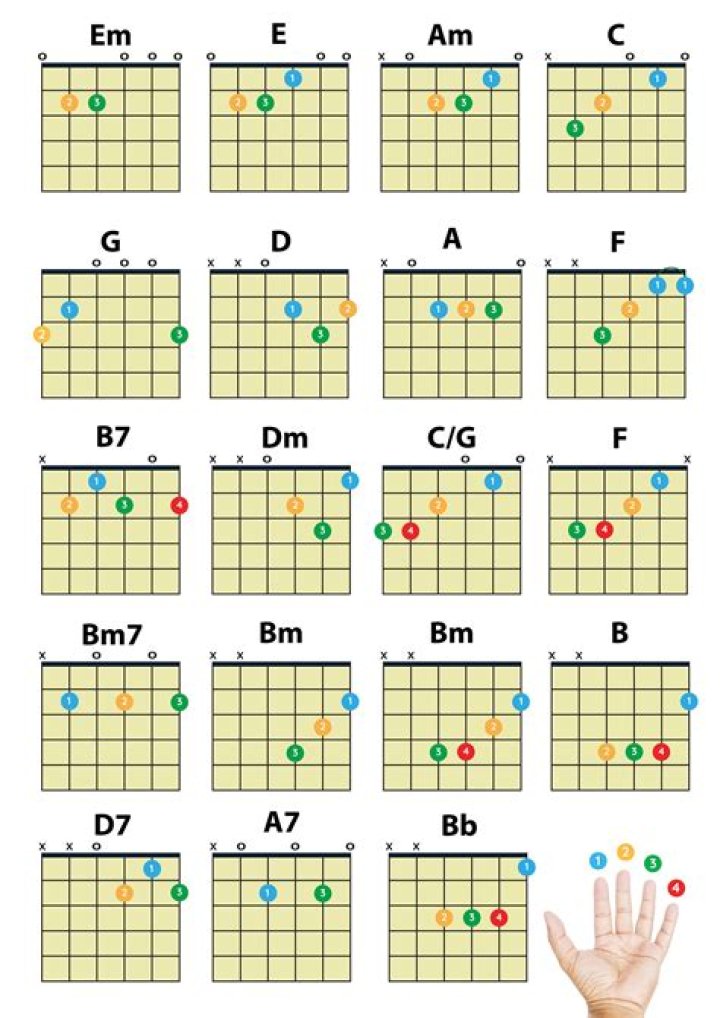 Island in the Sun Chords: A Complete Guide for Musicians