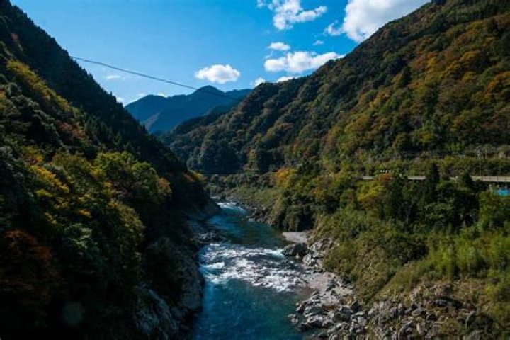 Ivory Hills Giappone: A Luxurious Escape in Japan