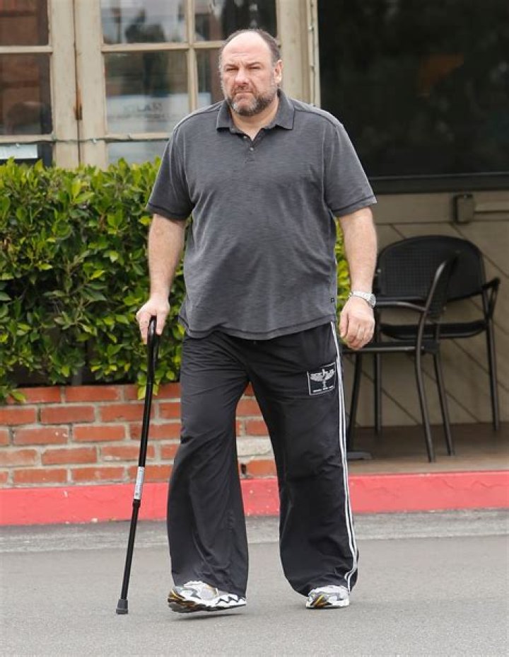 James Gandolfini Height: A Comprehensive Look at the Iconic Actor's Life and Legacy