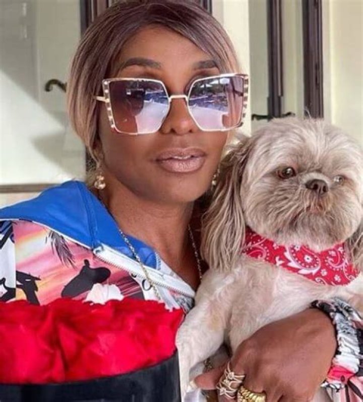 Janice Combs Wikipedia Profile: A Closer Look at Her Life and Legacy