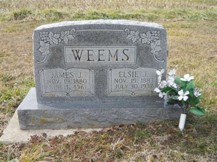 Jarvis Weems: The Rising Star in the World of Entertainment