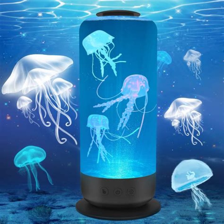 Enchanting Ambiance: The Jellyfish Lamp Experience